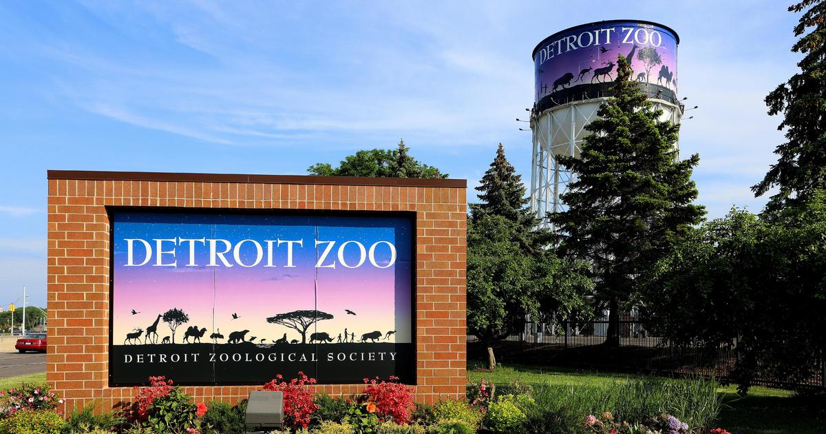 A bricked sign that reads "Detroit Zoo Detroit Zoological Society." In the background to the right is a water tower that says Detroit Zoo